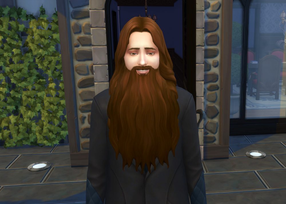 Wizard Beard