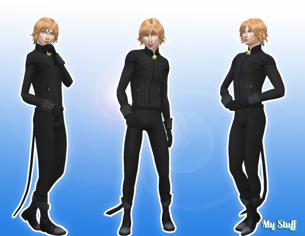 Cat Noir Outfit