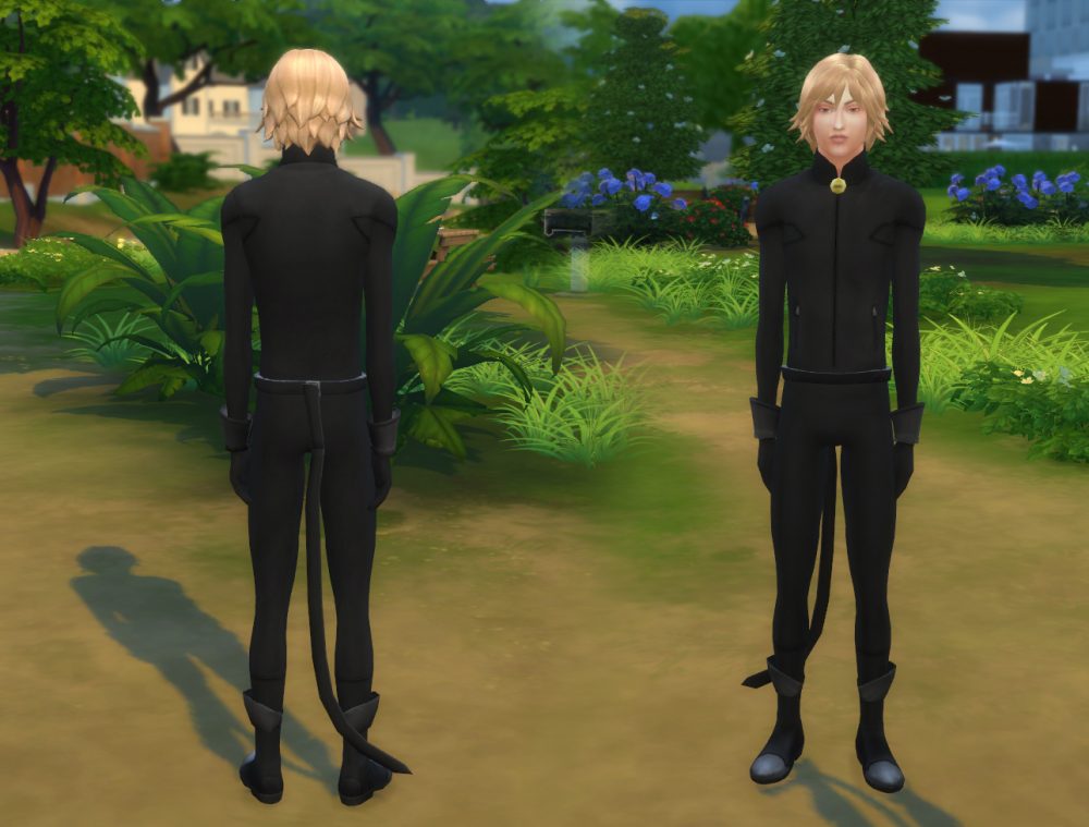 Cat Noir Outfit
