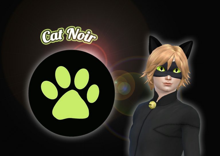 Cat Noir Mask and Ears