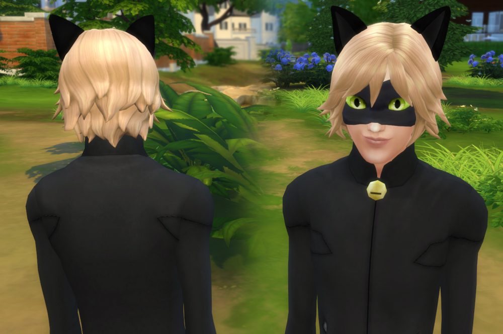 Cat Noir Mask and Ears