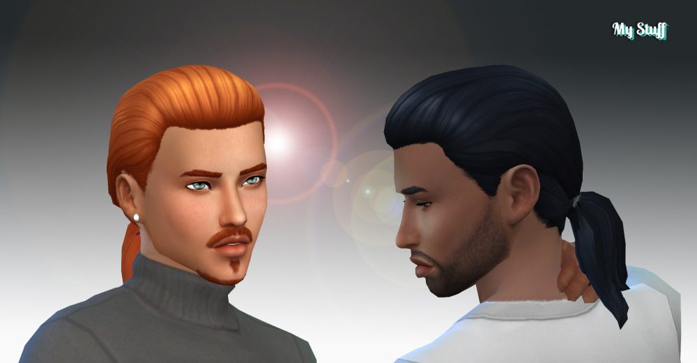 Male Ponytail Hairstyle
